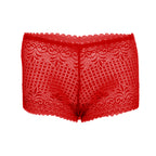 Tress Loom High Waist Lace Boyshorts for Women – Soft Stretchy Nylon Panty