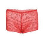 Tress Loom High Waist Lace Boyshorts for Women – Soft Stretchy Nylon Panty
