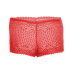Tress Loom High Waist Lace Boyshorts for Women – Soft Stretchy Nylon Panty